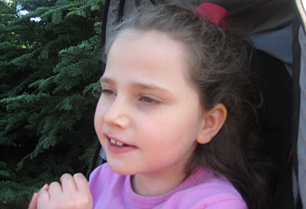 Sarah getting a Christmas tree